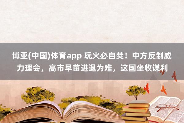 博亚(中国)体育app 玩火必自焚！中方反制威力理会，高市早苗进退为难，这国坐收谋利