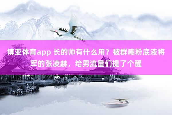 博亚体育app 长的帅有什么用？被群嘲粉底液将军的张凌赫，给男流量们提了个醒