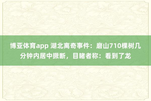 博亚体育app 湖北离奇事件：磨山710棵树几分钟内居中撅断，目睹者称：看到了龙