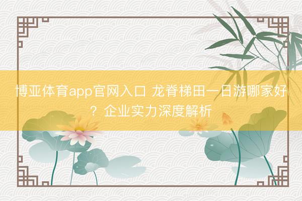 博亚体育app官网入口 龙脊梯田一日游哪家好？企业实力深度解析