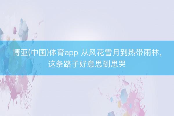 博亚(中国)体育app 从风花雪月到热带雨林，这条路子好意思到思哭