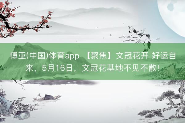 博亚(中国)体育app 【聚焦】文冠花开 好运自来，5月16日，文冠花基地不见不散！