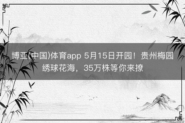 博亚(中国)体育app 5月15日开园！贵州梅园绣球花海，35万株等你来撩