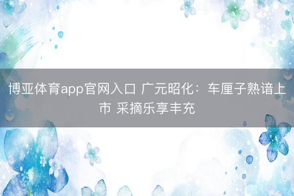 博亚体育app官网入口 广元昭化：车厘子熟谙上市 采摘乐享丰充