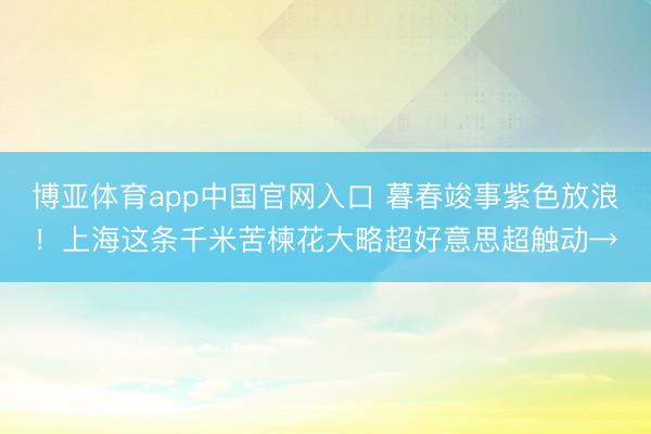 博亚体育app中国官网入口 暮春竣事紫色放浪！上海这条千米苦楝花大略超好意思超触动→