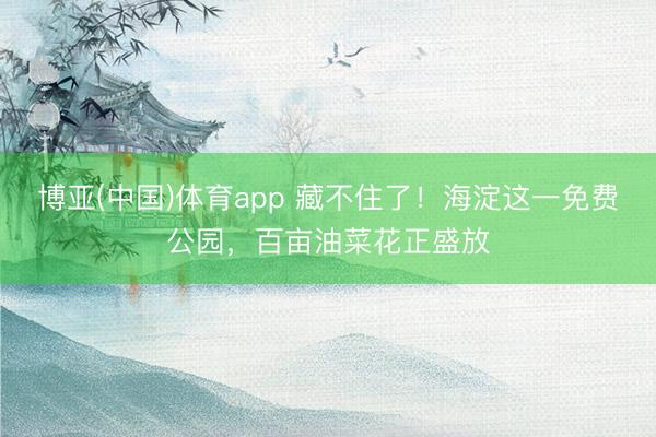 博亚(中国)体育app 藏不住了！海淀这一免费公园，百亩油菜花正盛放