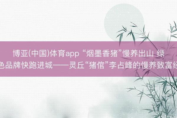 博亚(中国)体育app “烟墨香猪”慢养出山 绿色品牌快跑进城——灵丘“猪倌”李占峰的慢养致富经