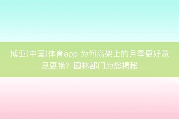 博亚(中国)体育app 为何高架上的月季更好意思更艳？园林部门为您揭秘