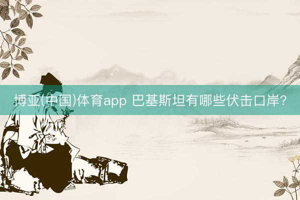 博亚(中国)体育app 巴基斯坦有哪些伏击口岸?