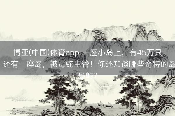博亚(中国)体育app 一座小岛上,有45万只鸡!还有一座岛,被毒蛇主管!你还知谈哪些奇特的岛屿?