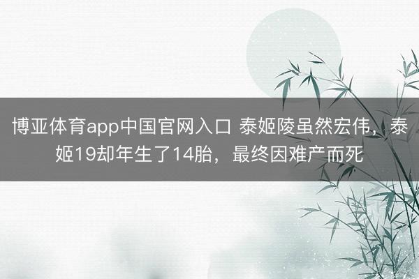 博亚体育app中国官网入口 泰姬陵虽然宏伟,泰姬19却年生了14胎,最终因难产而死