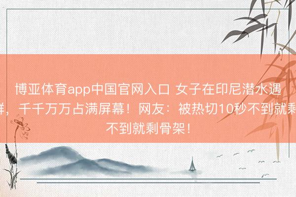 博亚体育app中国官网入口 女子在印尼潜水遇海狼群，千千万万占满屏幕！网友：被热切10秒不到就剩骨架！