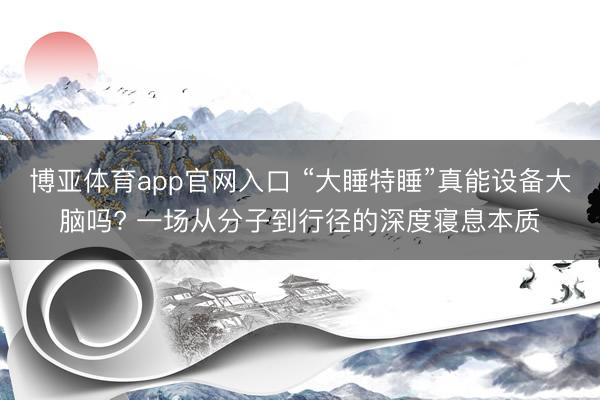 博亚体育app官网入口 “大睡特睡”真能设备大脑吗? 一场从分子到行径的深度寝息本质