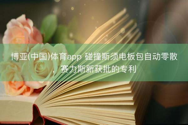 博亚(中国)体育app 碰撞斯须电板包自动零散，赛力斯新获批的专利