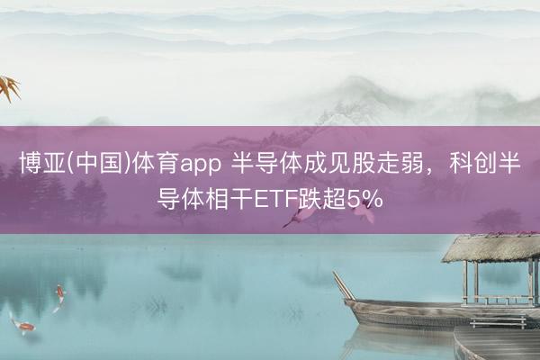博亚(中国)体育app 半导体成见股走弱，科创半导体相干ETF跌超5%