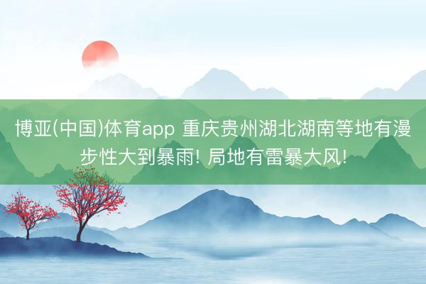 博亚(中国)体育app 重庆贵州湖北湖南等地有漫步性大到暴雨! 局地有雷暴大风!