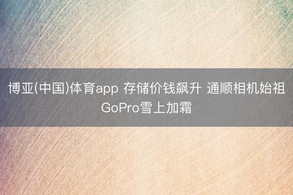 博亚(中国)体育app 存储价钱飙升 通顺相机始祖GoPro雪上加霜