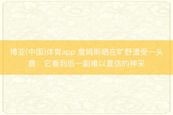 博亚(中国)体育app 詹姆斯晒在旷野遭受一头鹿：它看到后一副难以置信的神采
