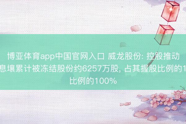 博亚体育app中国官网入口 威龙股份: 控股推动银河息壤累计被冻结股份约6257万股， 占其握股比例的100%