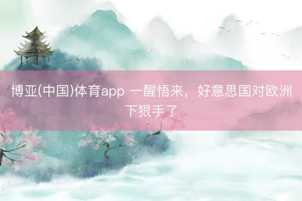 博亚(中国)体育app 一醒悟来，好意思国对欧洲下狠手了