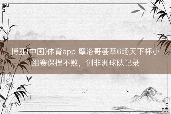 博亚(中国)体育app 摩洛哥荟萃6场天下杯小组赛保捏不败,创非洲球队记录